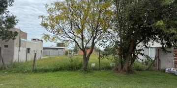 Rematan un atractivo terreno en Roldán por deber impuestos: dónde está, cuánto piden y cómo participar