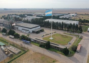 Búsqueda de empleo en agroindustria: buscan profesionales para cuatro roles clave en la región