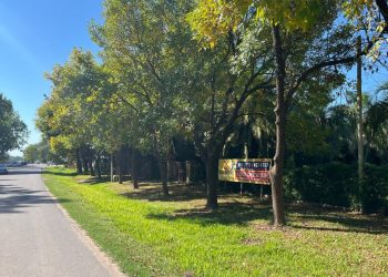 Un nuevo corredor comercial asoma en Funes: las oportunidades que aparecen sobre una estratégica calle