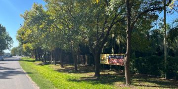 Un nuevo corredor comercial asoma en Funes: las oportunidades que aparecen sobre una estratégica calle