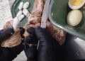 Intentó ingresar cocaína escondída en bifes a la cárcel de Las Flores