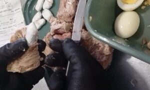 Intentó ingresar cocaína escondída en bifes a la cárcel de Las Flores