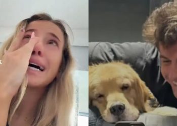 La angustiante reacción a Zoe Bogach tras la muerte de Ámbar, la perra de Manuel Ibero de Gran Hermano