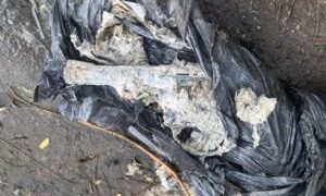 Santa Fe: hallaron un revólver mientras pescaban en la zona del Arco Sur