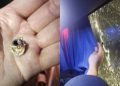 Escándalo en Uruguay: atacaron a balazos a los micros de Tigre y hay un hincha internado