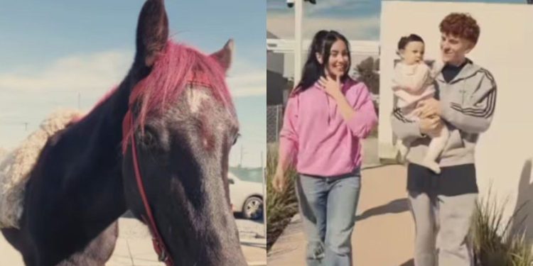 El descargo de Yaz Jaureguy sobre las críticas por el pony de su hija: «Yo no la hubiese pintado»