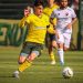 Defensa y Justicia vs. Newell’s por el Torneo Clausura 2026: horario, formaciones y TV