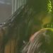 Daniela Celis y Julieta Poggio sorprendieron a todos con un apasionado y picante beso en público