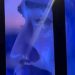 Luck Ra se quebró en pleno show y habló de las críticas que recibió tras su separación de La Joaqui