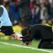 Guillermo Barros Schelotto reveló los detalles inéditos de su salida de Boca tras la final en Madrid
