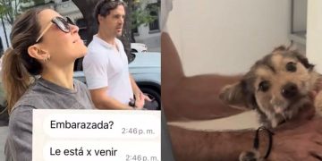 La tremenda sorpresa que se llevó Jimena Barón con su perra: la vio hinchada y resulta que está embarazada