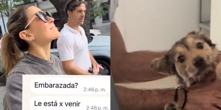 La tremenda sorpresa que se llevó Jimena Barón con su perra: la vio hinchada y resulta que está embarazada